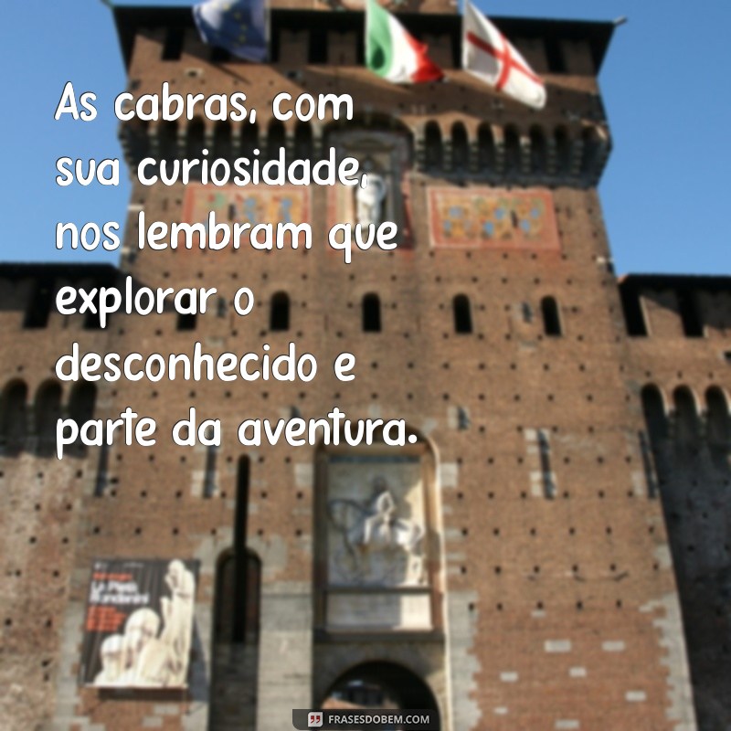 Frases Inspiradoras sobre Animais: Celebre a Amizade e a Sabedoria do Reino Animal 