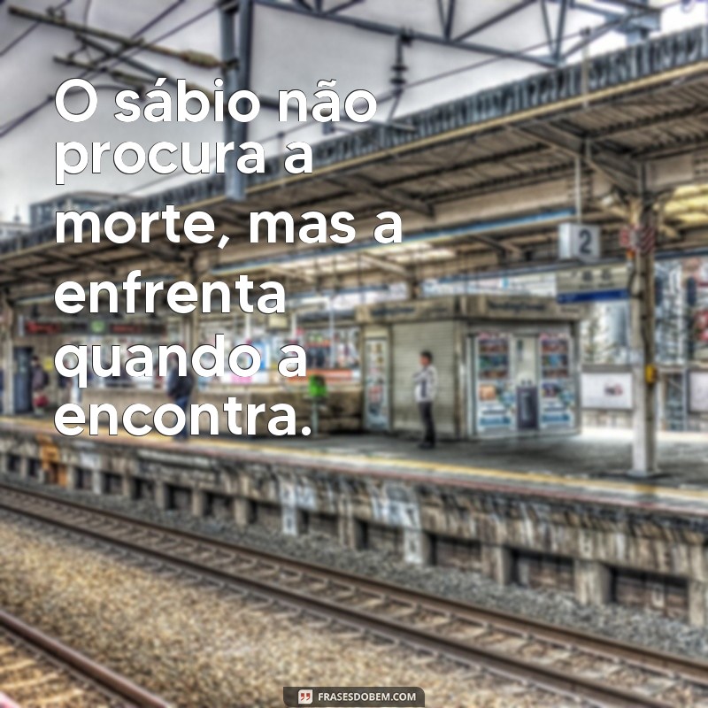 Descubra as melhores frases de Michel de Montaigne - O filósofo que revolucionou o pensamento 