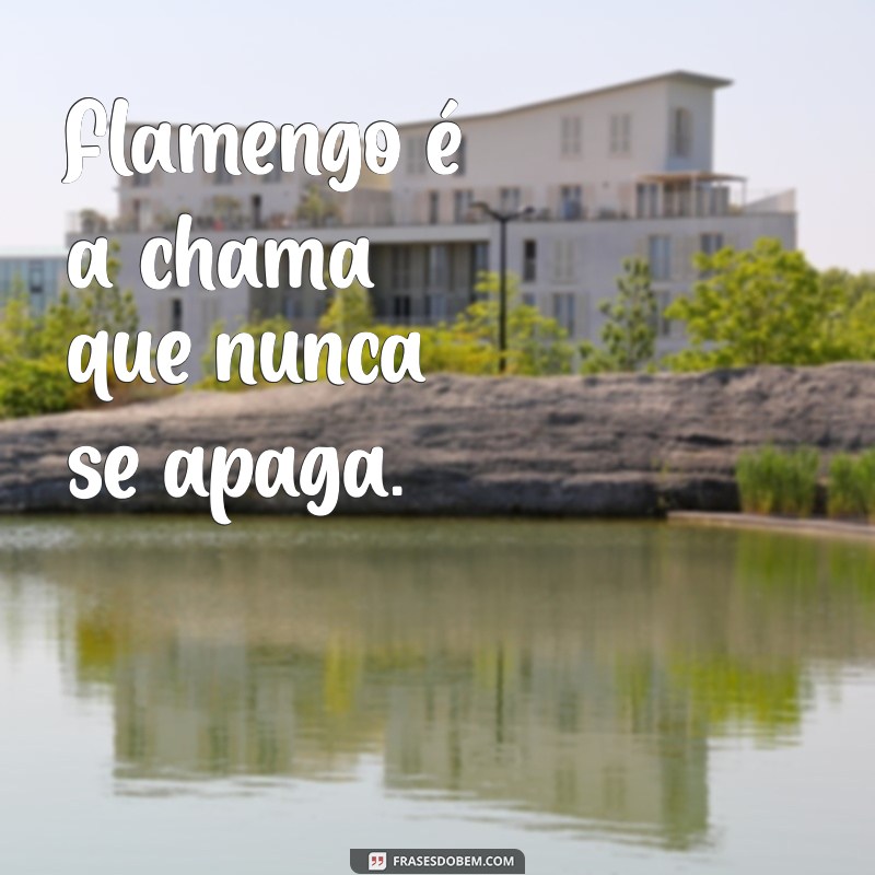 As Melhores Frases de Flamenguistas: Paixão e Orgulho Rubro-Negro 