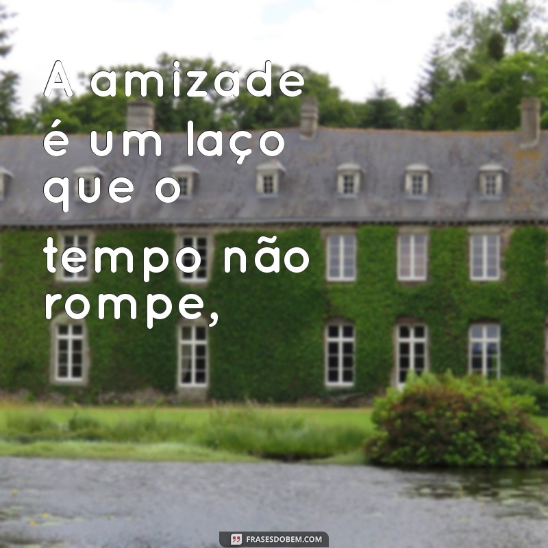 Poemas de Amizade: Celebre Laços com Palavras Inspiradoras 