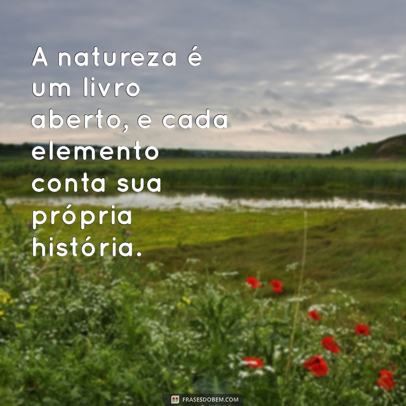 Descubra as Melhores Frases sobre a Natureza para Inspirar sua Conexão com o Mundo Natural 