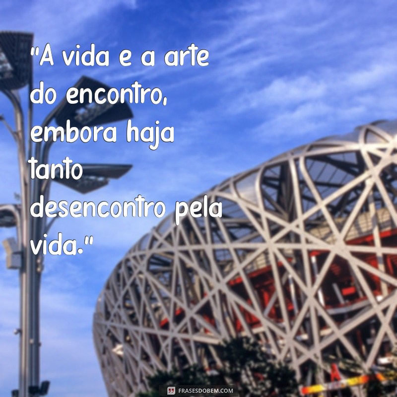 vinicius de moraes