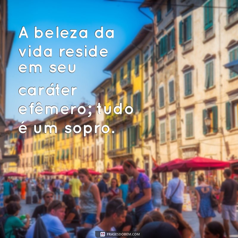 Frases Inspiradoras: A Vida é um Sopro e Sua Beleza 