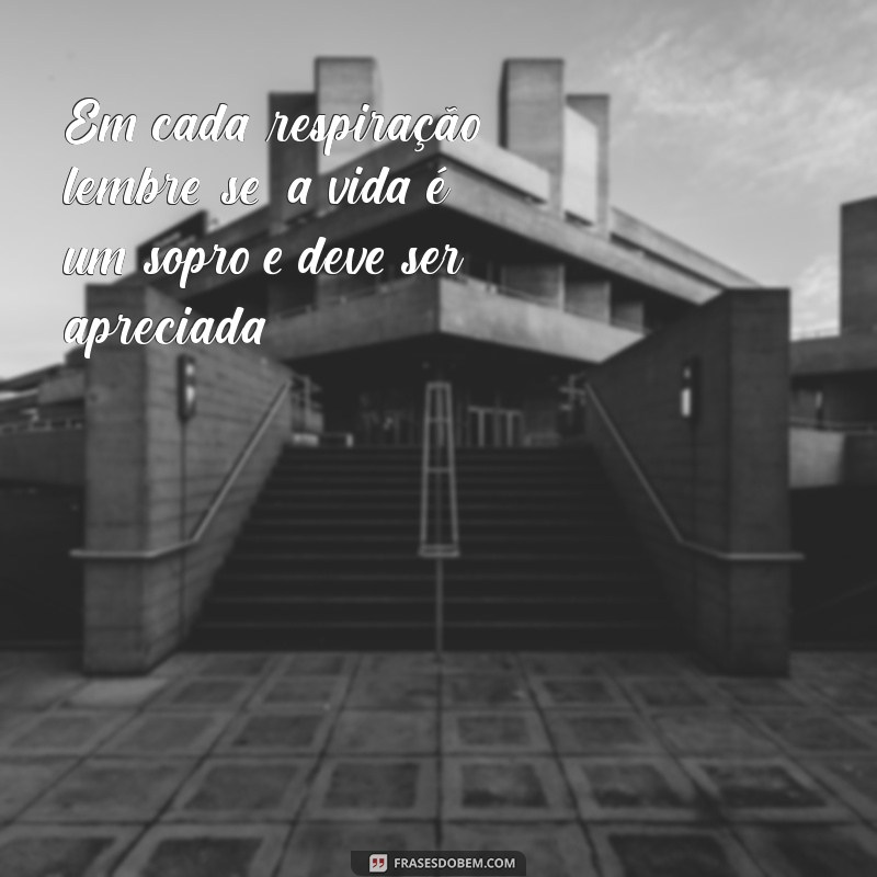 Frases Inspiradoras: A Vida é um Sopro e Sua Beleza 