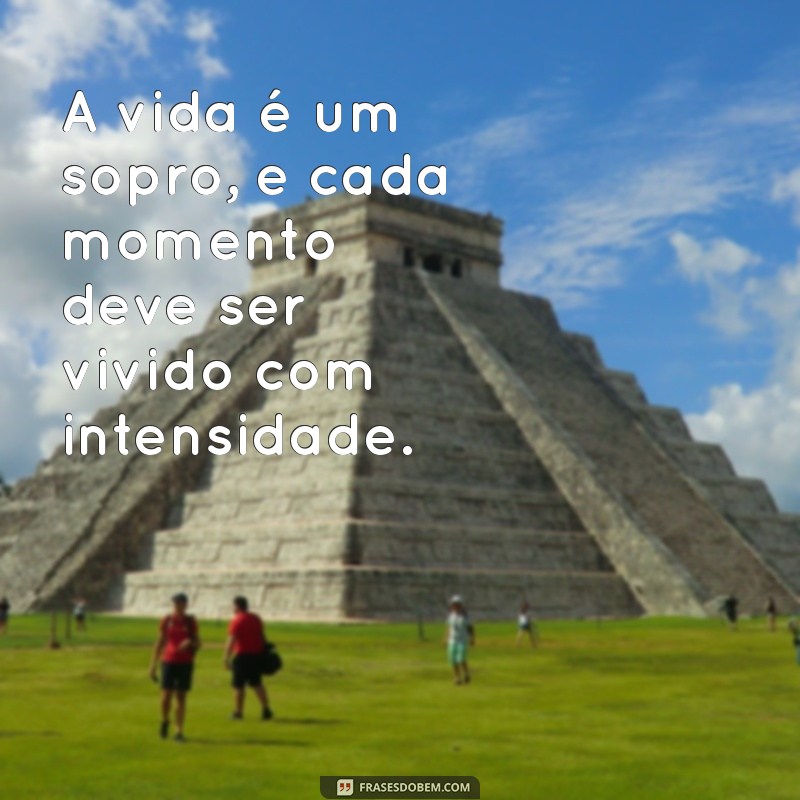 frases a vida é um sopro A vida é um sopro, e cada momento deve ser vivido com intensidade.