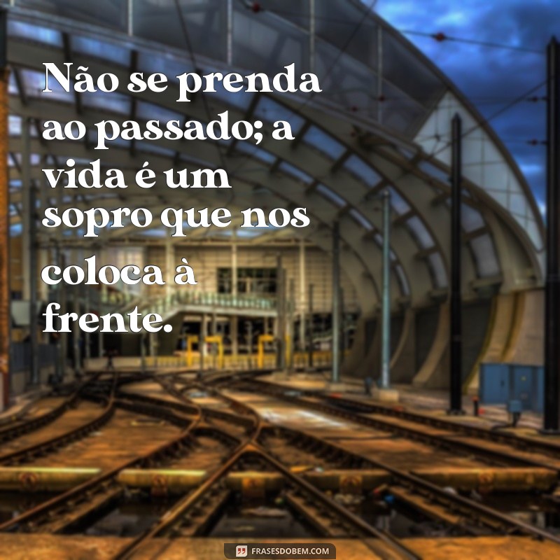 Frases Inspiradoras: A Vida é um Sopro e Sua Beleza 