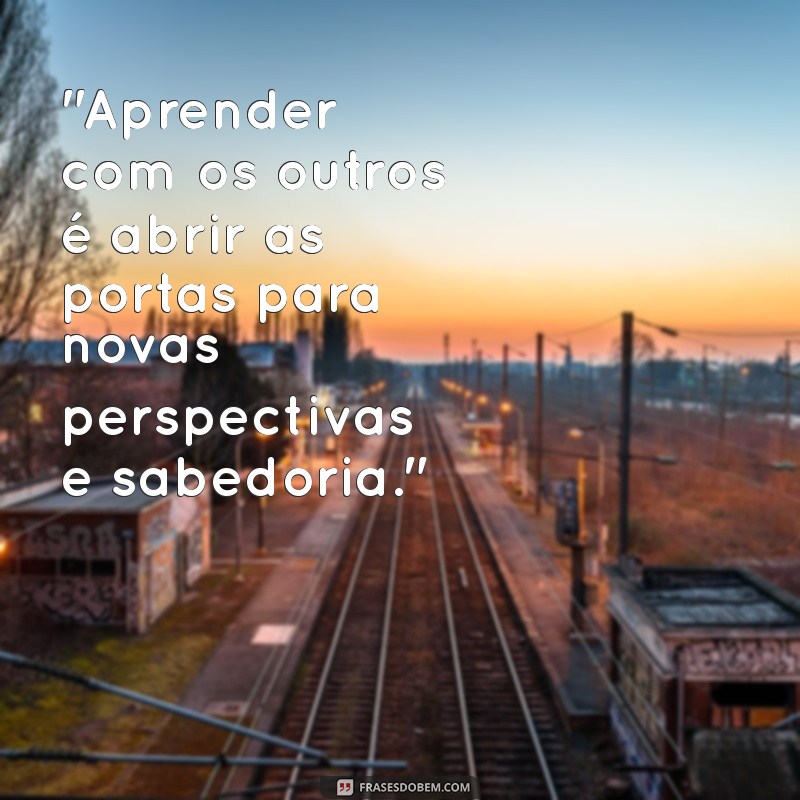 frases sobre aprender com o outro 