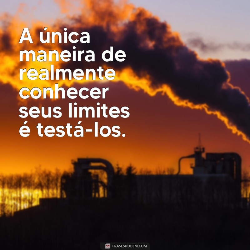 Inspire-se com as Melhores Frases de Arnold Schwarzenegger: Sabedoria e Motivação 