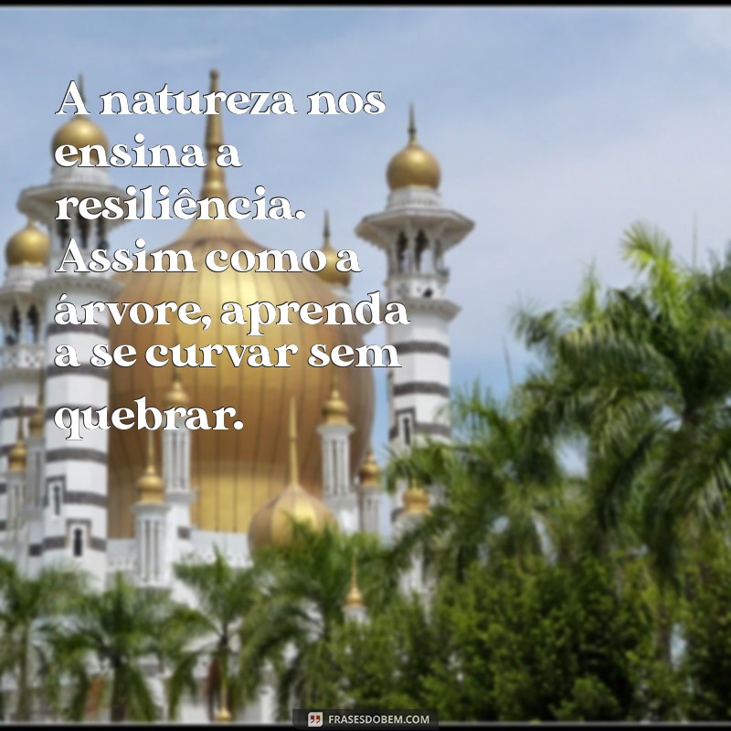 Sabedoria dos Pretos Velhos: Mensagens de Paz e Reflexão 