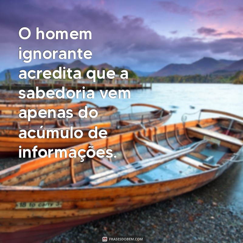 homem ignorante O homem ignorante acredita que a sabedoria vem apenas do acúmulo de informações.