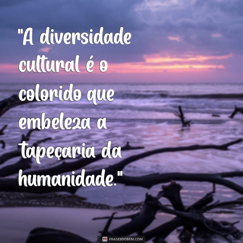 frases diversidade cultural 