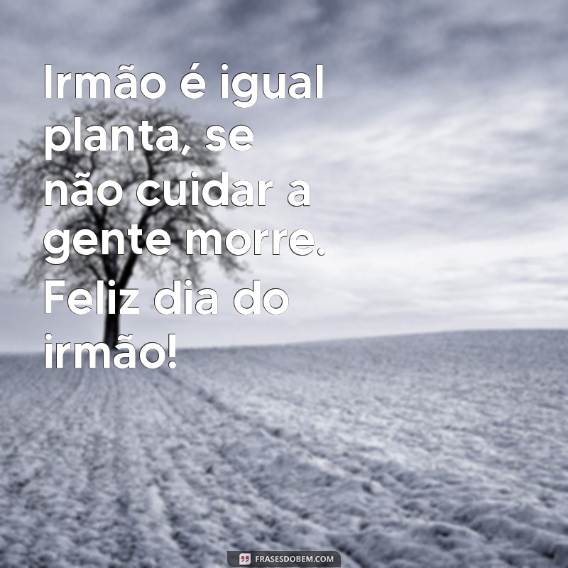 Descubra as melhores frases engraçadas para celebrar o Dia do Irmão com alegria! 