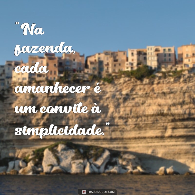 fazenda frases 