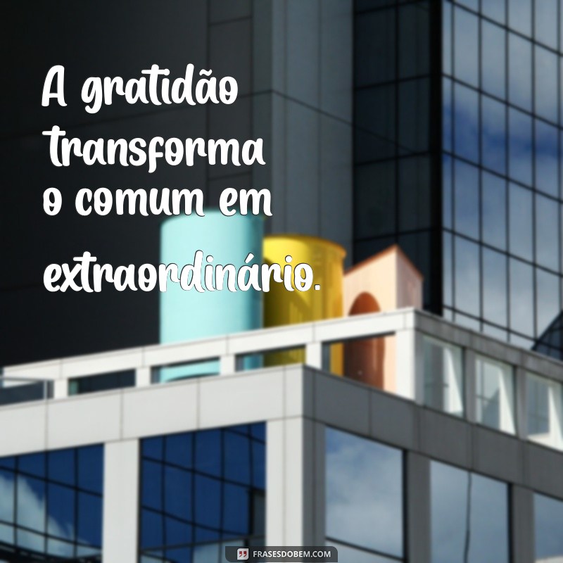 Frases Inspiradoras: Valorize o que Tem Antes que Seja Tarde 