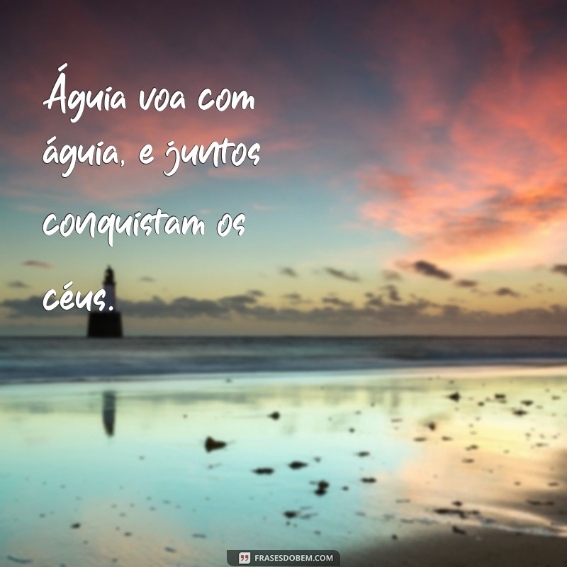 aguia voa com aguia Águia voa com águia, e juntos conquistam os céus.