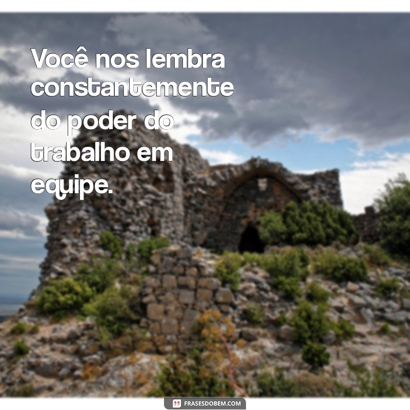 Frases Inspiradoras para Agradecer e Valorizar Sua Diretora 