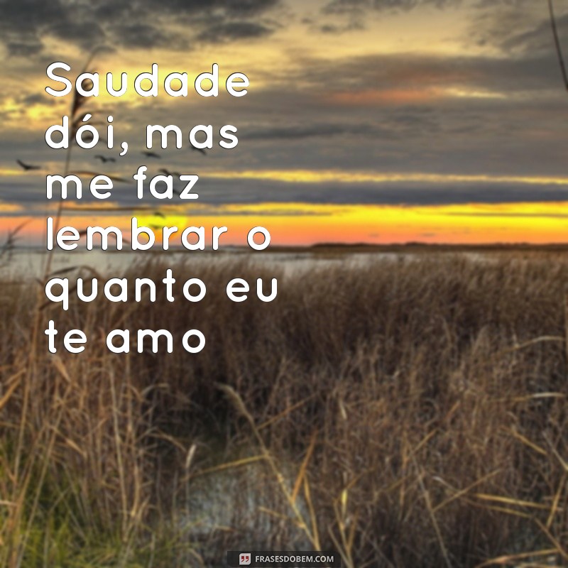 Reviva a emoção com as melhores frases de saudade de Zé Neto & Cristiano 