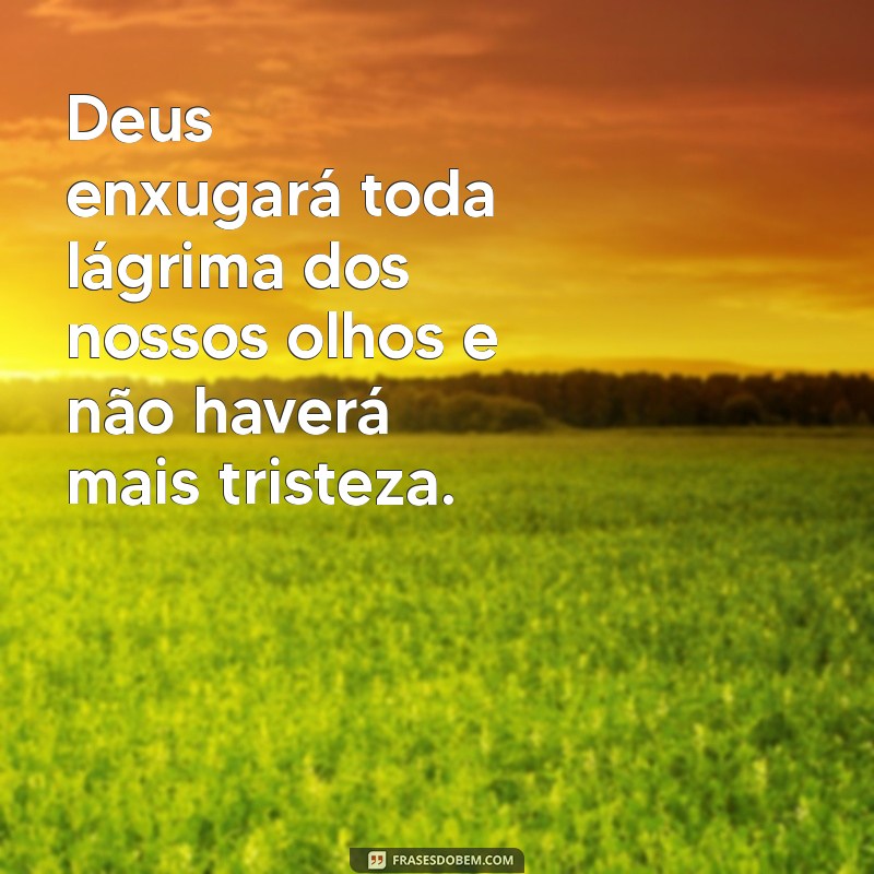 Palavras de Conforto Evangélicas: Encontre Paz e Esperança em Momentos Difíceis 