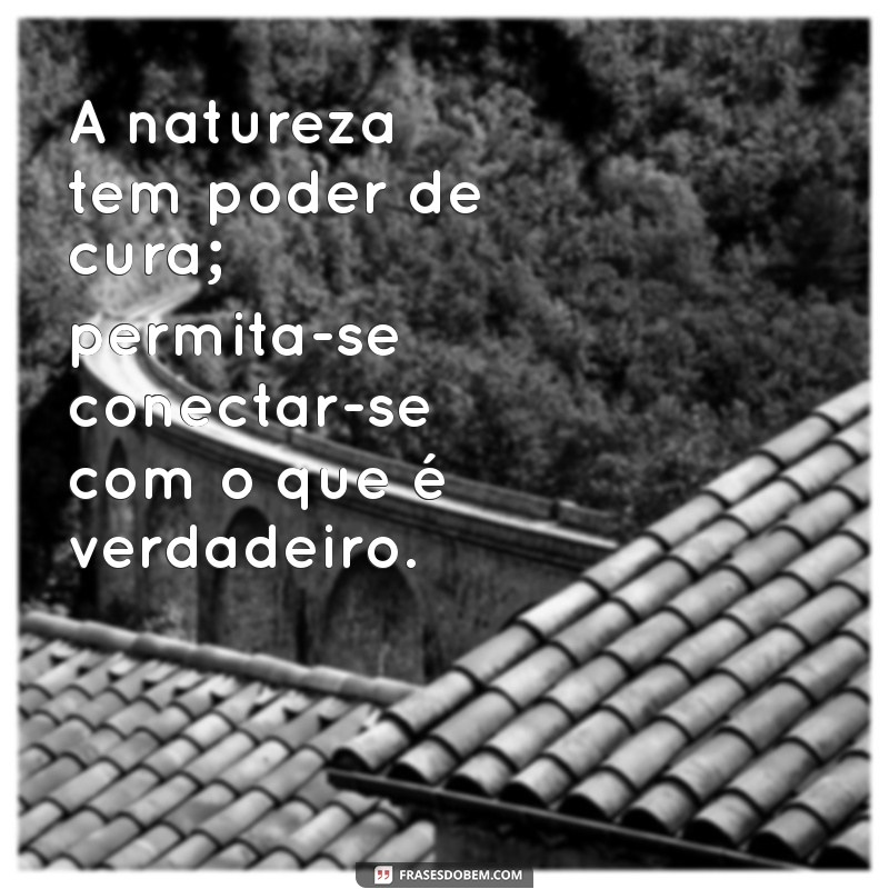 Frases Inspiradoras para a Cura Emocional e Espiritual: Encontre Conforto e Esperança 