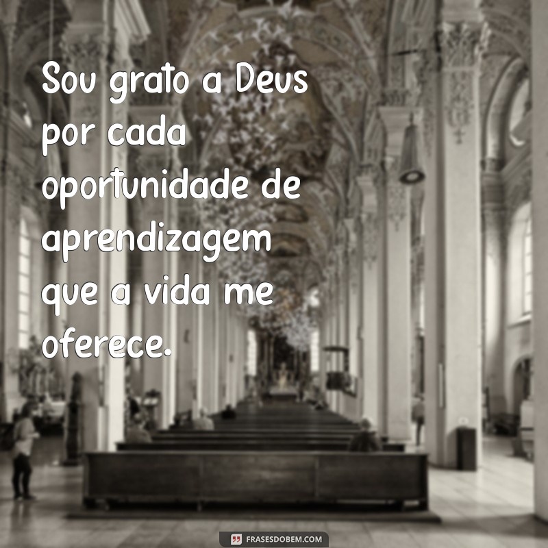 Como Agradecer a Deus: Frases Inspiradoras para Cultivar a Gratidão 