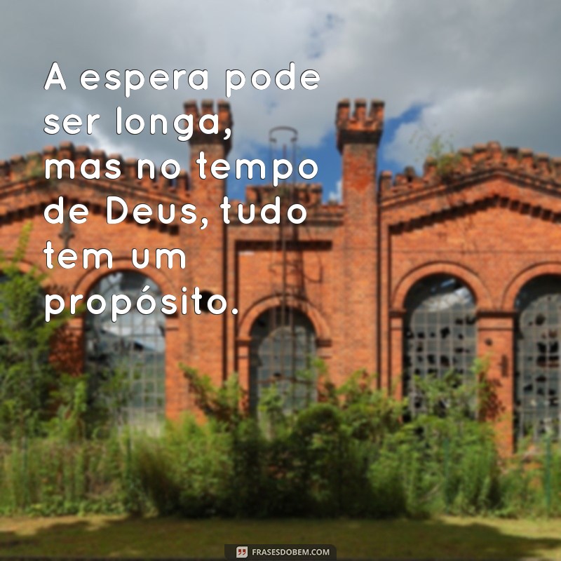 No Tempo de Deus: Entendendo a Paciência e a Sabedoria Divina 