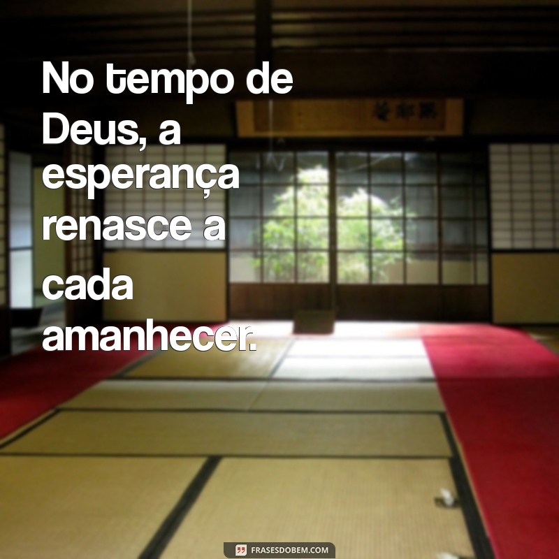 No Tempo de Deus: Entendendo a Paciência e a Sabedoria Divina 