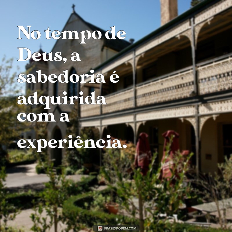 No Tempo de Deus: Entendendo a Paciência e a Sabedoria Divina 