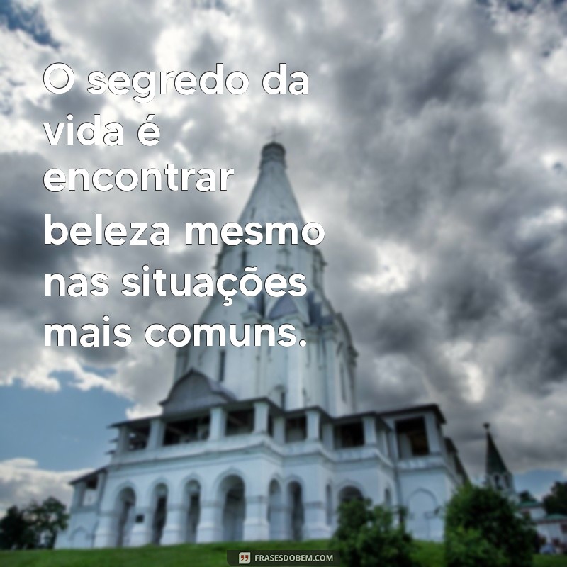 Descubra as Melhores Frases sobre a Vida para Inspirar Seu Dia 