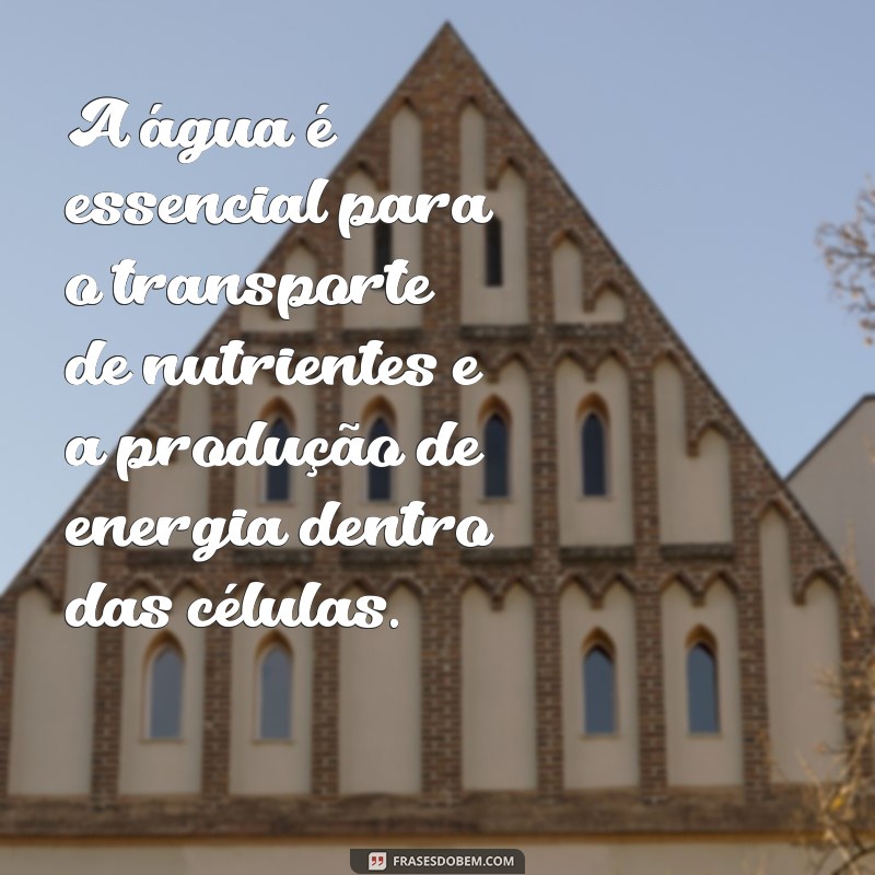 Descubra Como Obtemos Nossa Energia Corporal: Mecanismos e Dicas para Aumentar sua Vitalidade 