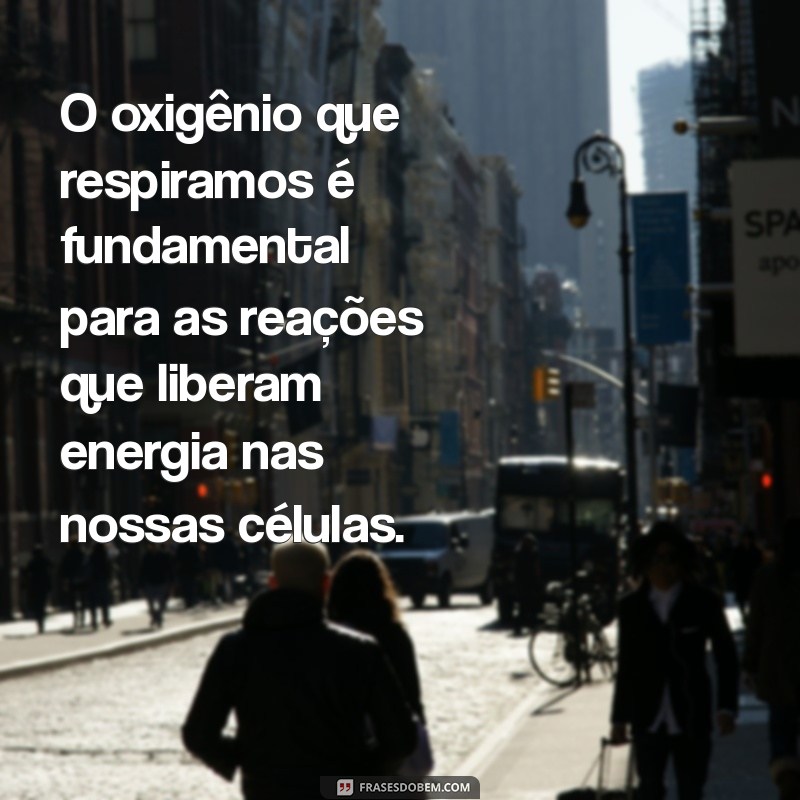 Descubra Como Obtemos Nossa Energia Corporal: Mecanismos e Dicas para Aumentar sua Vitalidade 