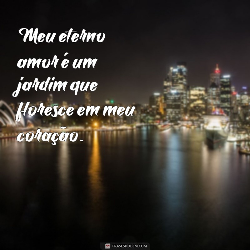 Meu Eterno Amor: Descubra Como Cultivar um Amor Duradouro 