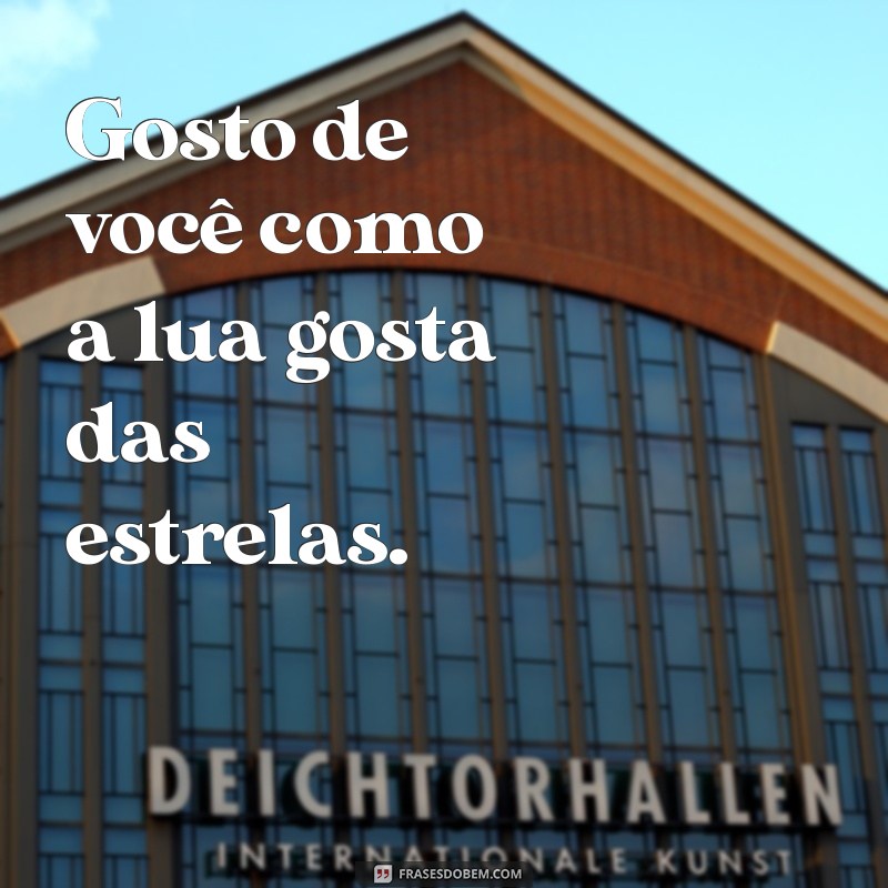 frases gosto de você Gosto de você como a lua gosta das estrelas.