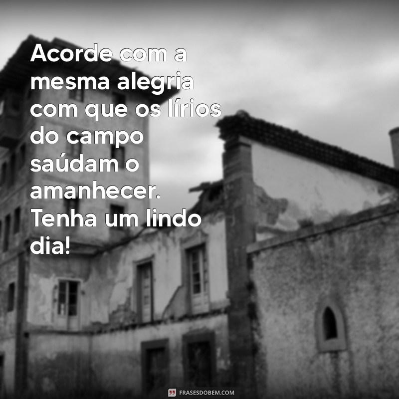 Bom Dia: Inspire-se com Mensagens de Lirios do Campo 