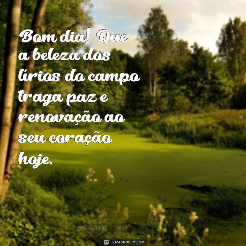 mensagem de bom dia lirios do campo Bom dia! Que a beleza dos lírios do campo traga paz e renovação ao seu coração hoje.