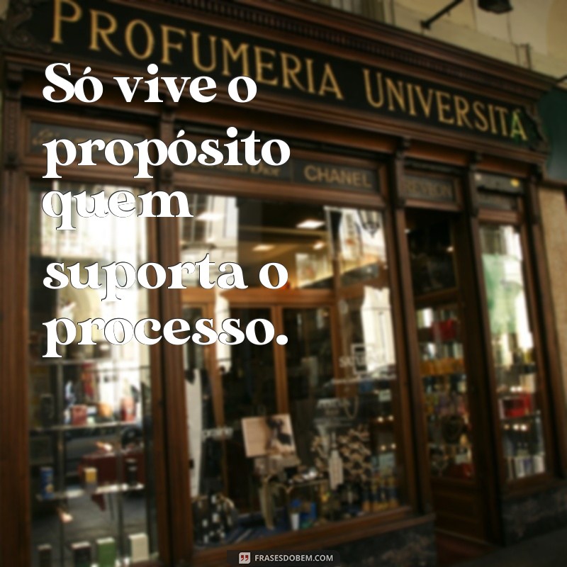 só vive o propósito quem suporta o processo Só vive o propósito quem suporta o processo.