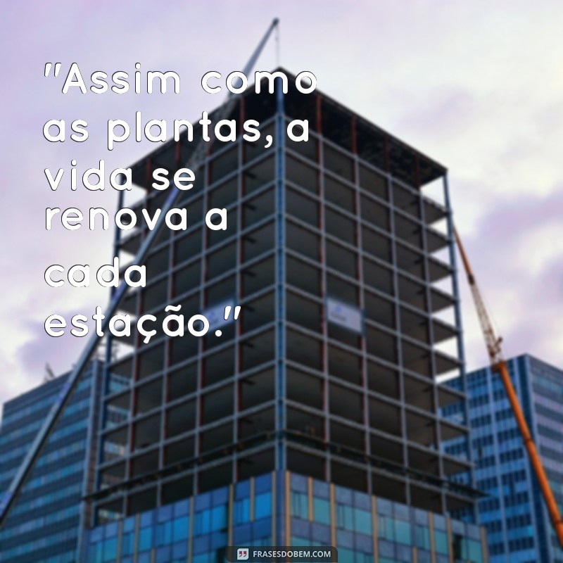 frases sobre plantas e vida 