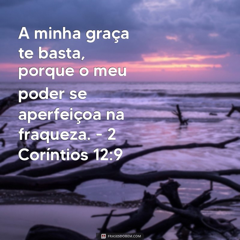 Frases Inspiradoras da Bíblia para Iluminar Seu Dia 