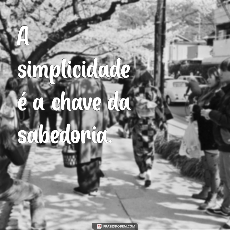 frases curtas sabias A simplicidade é a chave da sabedoria.