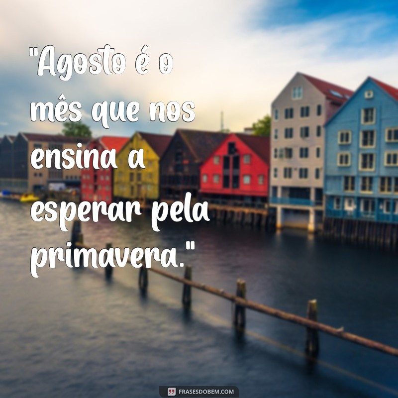 frases agosto 