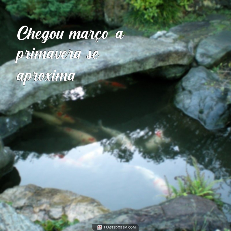 chegou março Chegou março, a primavera se aproxima!