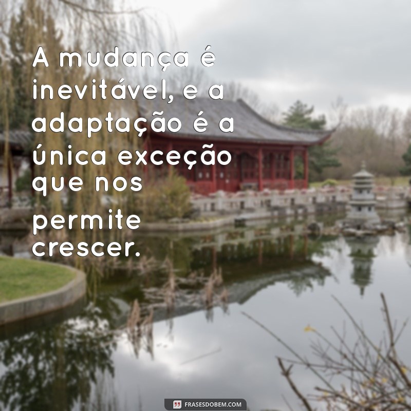 50 Frases Inspiradoras com a Palavra Exceção para Refletir e Compartilhar 