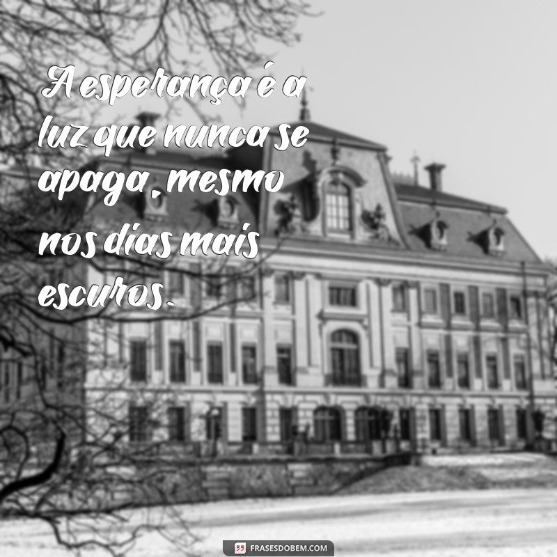 frases com esperança A esperança é a luz que nunca se apaga, mesmo nos dias mais escuros.