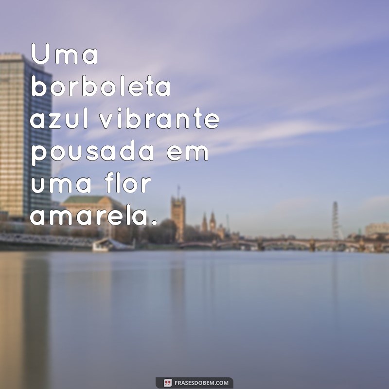 fotos de borboletas para perfil Uma borboleta azul vibrante pousada em uma flor amarela.