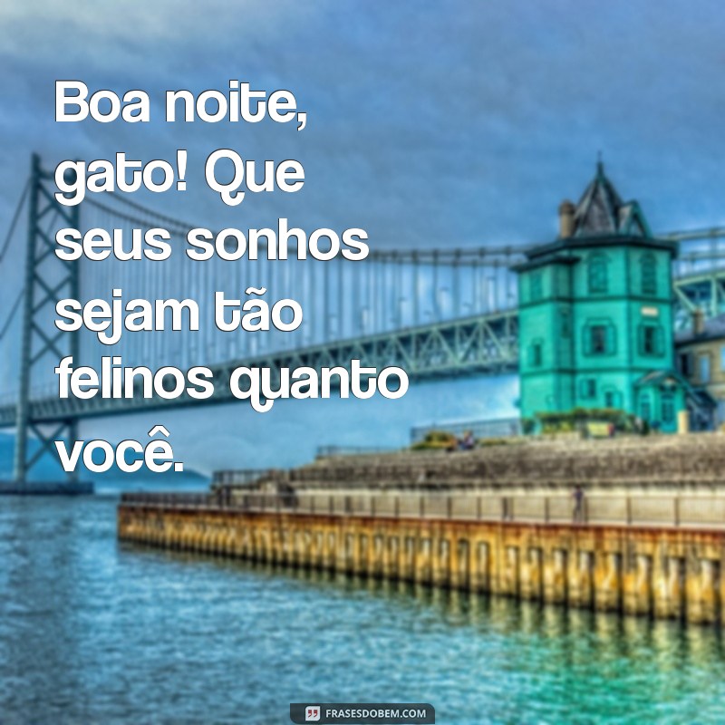 boa noite gato Boa noite, gato! Que seus sonhos sejam tão felinos quanto você.