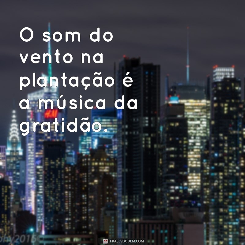 Frases Inspiradoras sobre Agronomia para Tumblr: Cultive Suas Ideias 