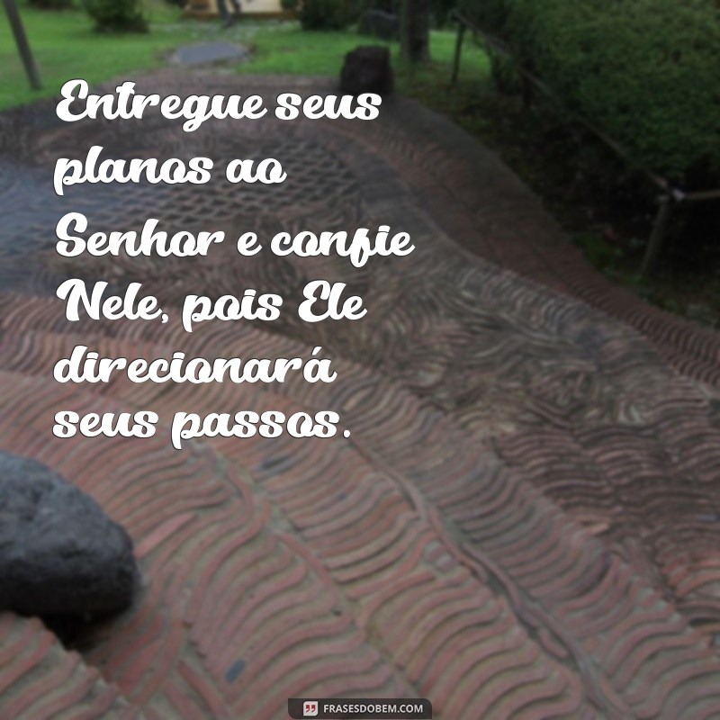 entregue seus planos ao senhor confia nele Entregue seus planos ao Senhor e confie Nele, pois Ele direcionará seus passos.