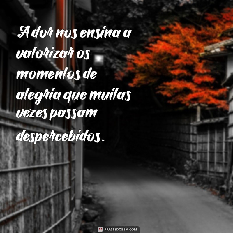 mensagens sobre dor A dor nos ensina a valorizar os momentos de alegria que muitas vezes passam despercebidos.