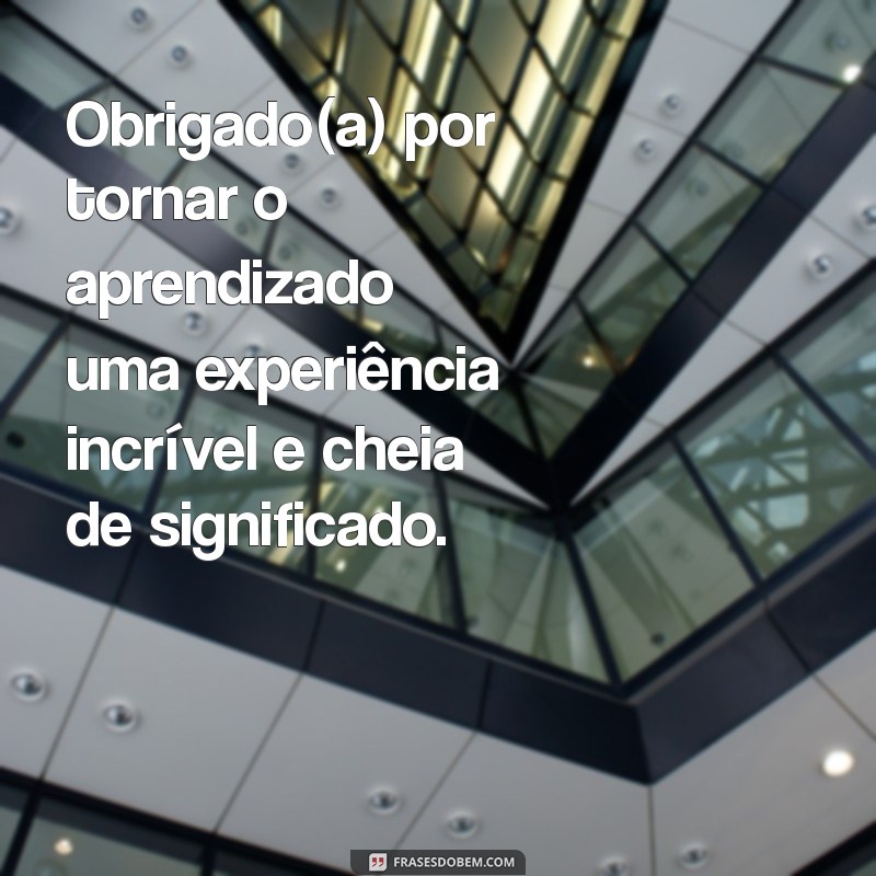 As Melhores Frases de Agradecimento para Professores: Reconheça o Seu Trabalho! 