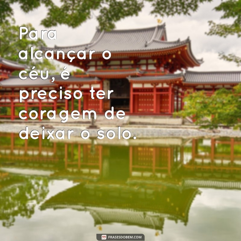 Frases Inspiradoras para Voar Alto e Alcançar Seus Sonhos 