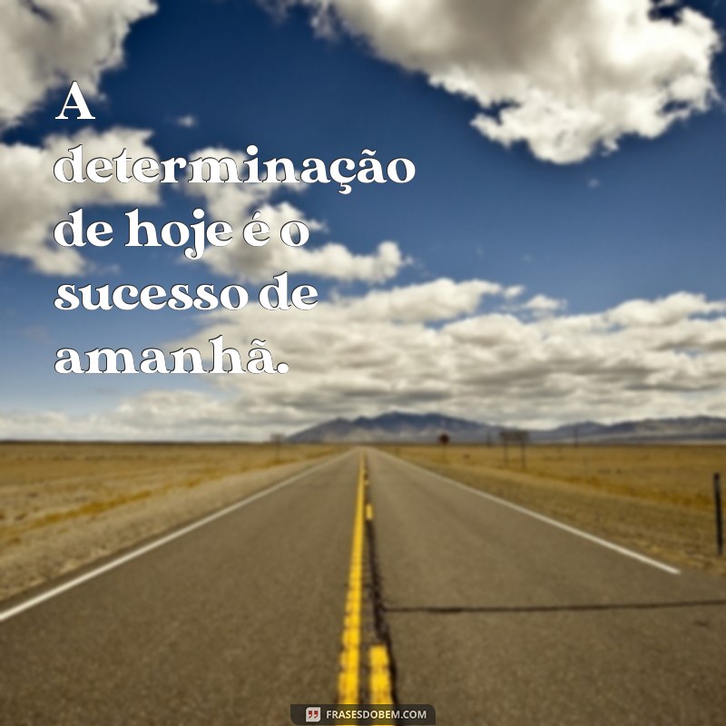 frases de motivação escolar A determinação de hoje é o sucesso de amanhã.